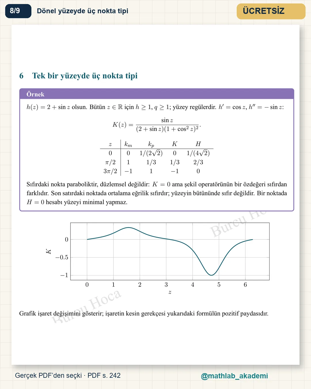 Diferansiyel Geometri kitabından örnek sayfa 8