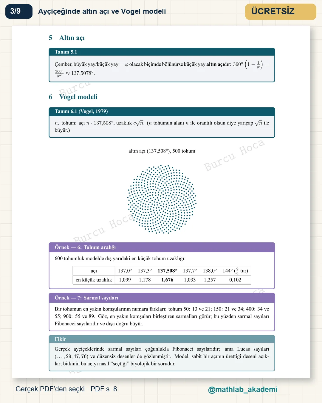 Doğadaki Matematik kitabından örnek sayfa 3