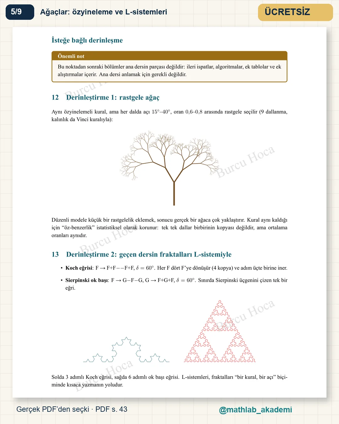 Doğadaki Matematik kitabından örnek sayfa 5