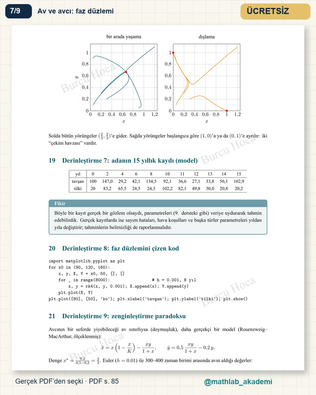 Doğadaki Matematik kitabından örnek sayfa 7